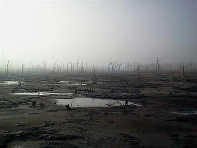 Un día de mucho frío...