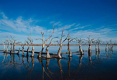Ruinas de Villa Epecuén