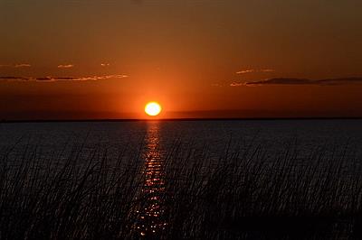 Puesta de sol en la Esteros del Ibera