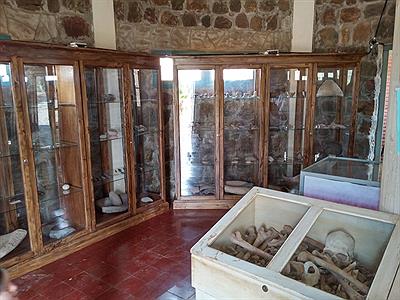 Museo Arqueológico Luis Benedetti