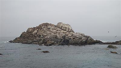 Viña del Mar - Balneario Reñaca 