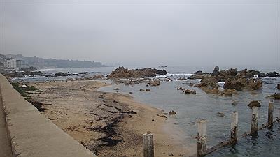 Viña del Mar - Balneario Reñaca 