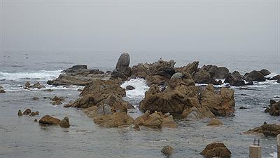 Viña del Mar - Balneario Reñaca 