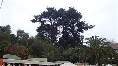 Santiago de Chile - Cerro San Cristobal