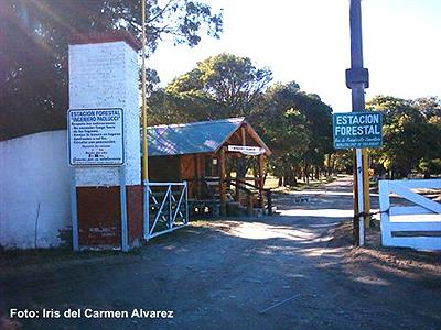 Estación Forestal o Vivero Dunícola