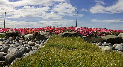 Primavera en Rio Grande
