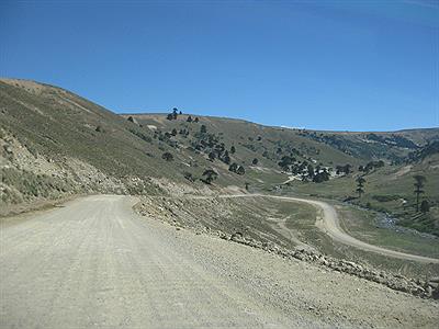 Ruta a Pehuenia