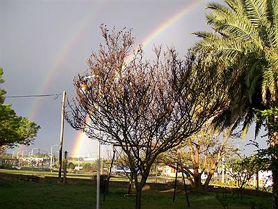 Luego de la tormenta