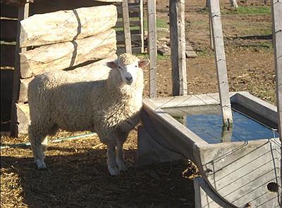 Ecoparque La Casa de los Abuelos