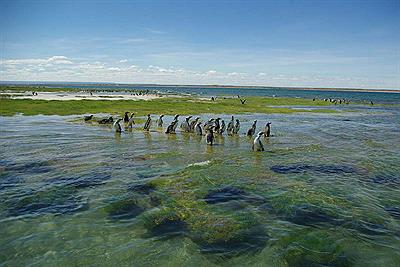 Conociendo sus costas