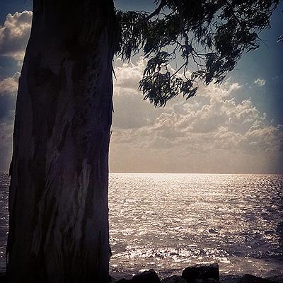 Bahía de Samborombón