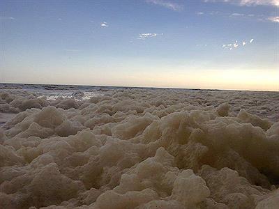 espuma en la playa