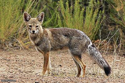 Reserva de flora y fauna La Florida