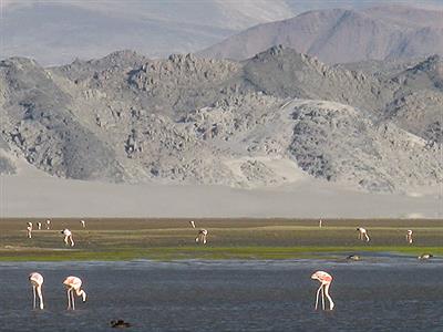 Reserva de biosfera Laguna Blanca
