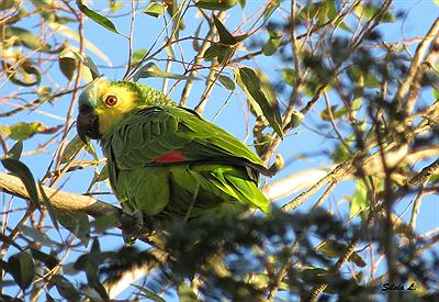 Parque Provincial Loro Hablador