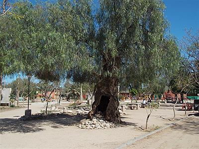 Plaza de San Marcos Sierras