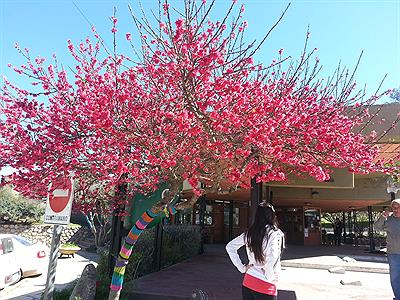 Terminal de Omnibus Villa Giardino
