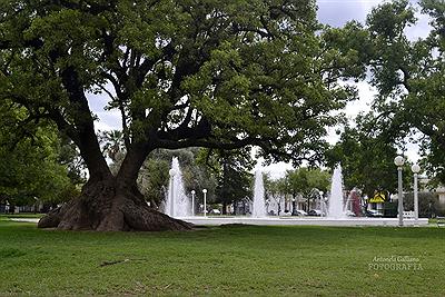 Plaza principal Conrado Villegas