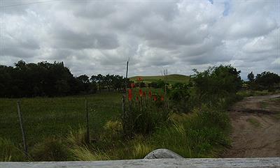 vista hacia el norte