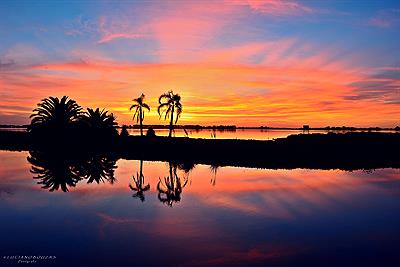 Reserva Historica Natural Bragado