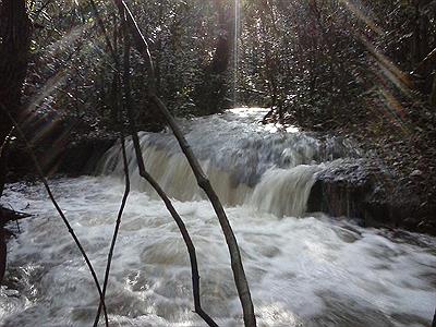 CASCADA DE LA RESERVA NATURAL