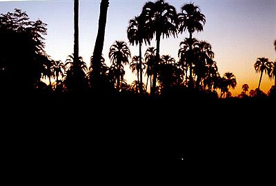 Atardecer en El Palmar