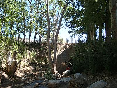 Cascada Manqui Malal