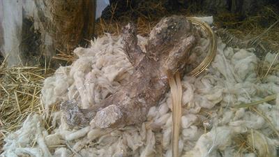 Belén en Quel la rioja