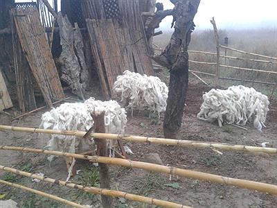 Belén en Quel La Rioja