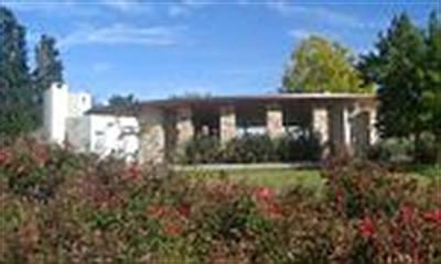 Glaciar del Paso Agua Negra