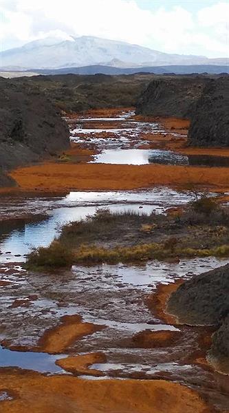Volcán Copahue de fondo.