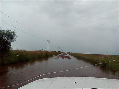 Camino a Colonia C. Pellegini