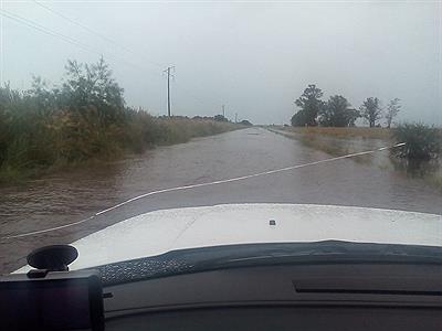 Camino a Colonia C. Pellegini