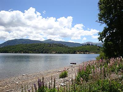 Parque Nacional Lanin