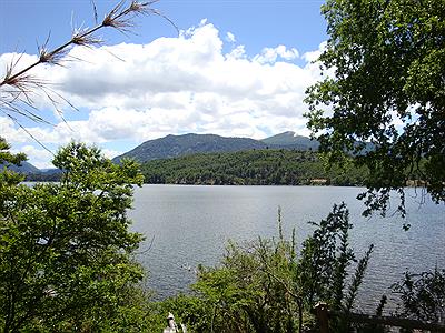 Parque Nacional Lanin