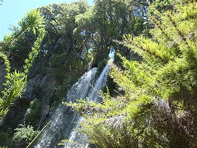 Parque Nacional Lanin