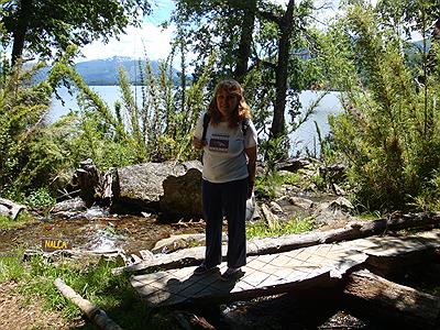 Parque Nacional Lanin