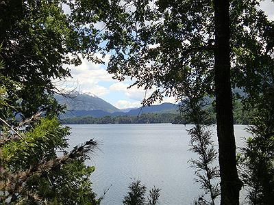 Parque Nacional Lanin