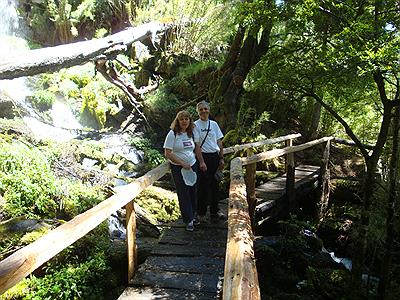 Parque Nacional Lanin