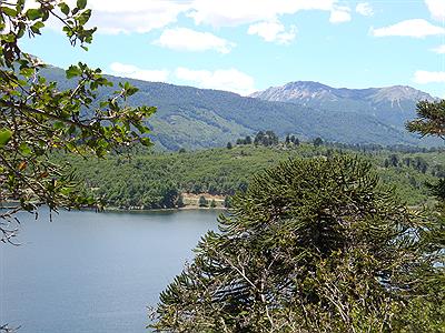 Parque Nacional Lanin