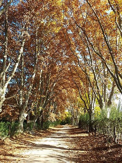Las Rabonas, Traslasierra Córdoba