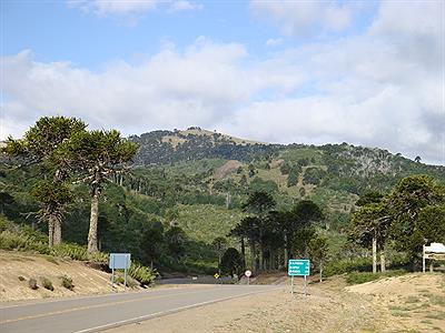 Paso de Icalma CHILE
