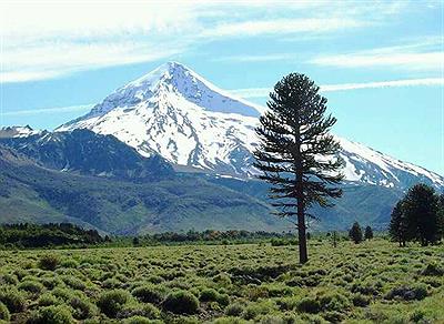 El volcan Lanin hermoso e imponente como siempre!