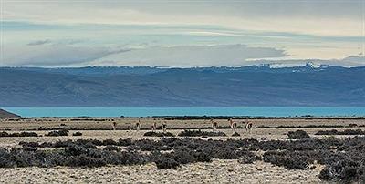 Lago Cardiel, Ruta 40, Santa Cruz.