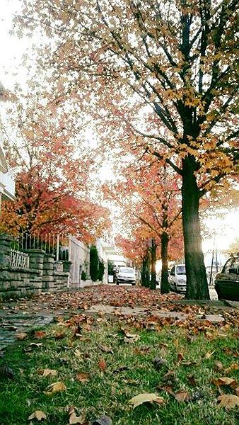 Otoño en Ramos mejia