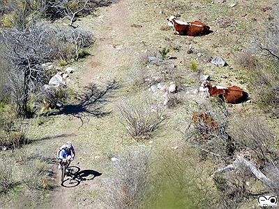 Mountain Bike - Potrero de los Funes - San Luis