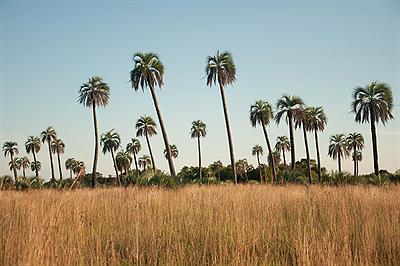 Parque Nacional Mburucuyá