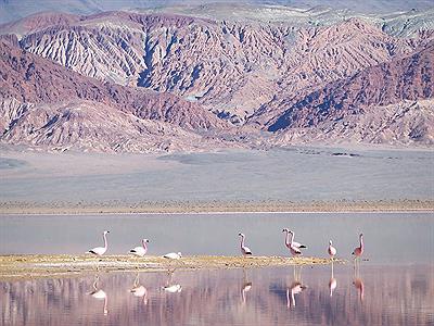 Laguna Carachi Pampa