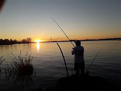 En ibicuy camping los lagartos