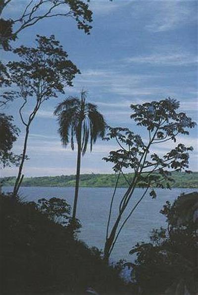 Reserva privada Osununú